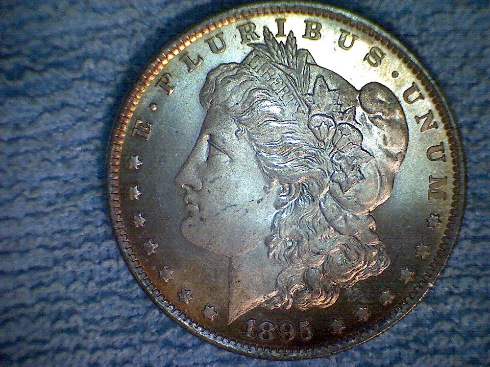 Need-Advice-For-My-Morgan-Dollar-
