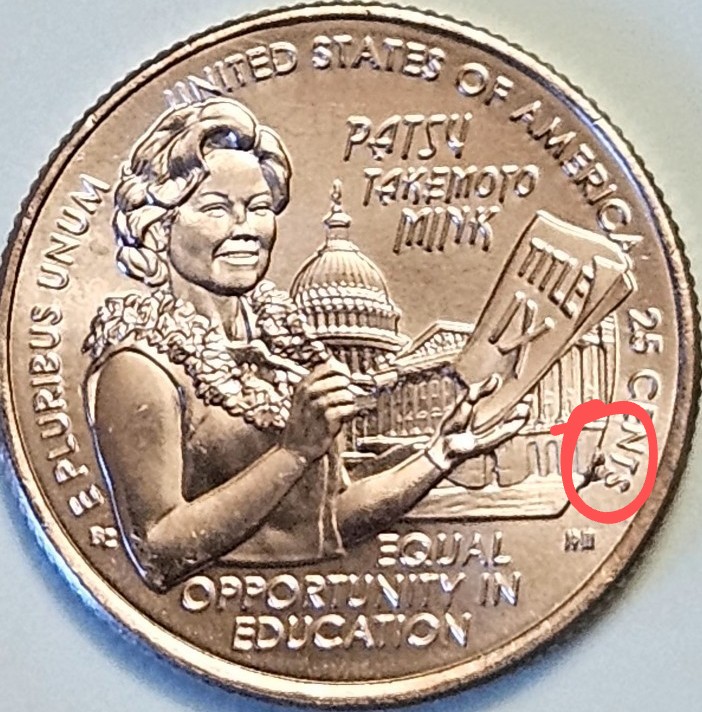 Confirm-Possible-Die-Gouge-2024-P-Patsy-Takemoto-Mink-Quarter