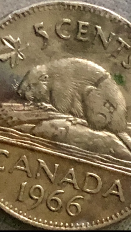 1966-Canadian-5-Cent-Coin-Error