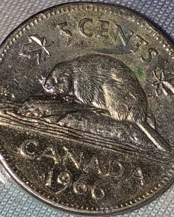 1966-Canadian-5-Cent-Coin-Error