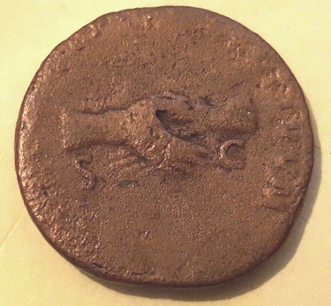 Nerva-Fake-Or-Not-That's-The-Question?