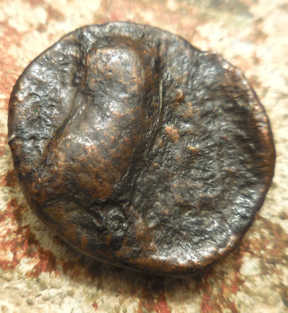 No-ID-On-This-Very-Thick-24.5mm,-10.50-G-Owl?-With-Apollo-Or-Even-Tanit?