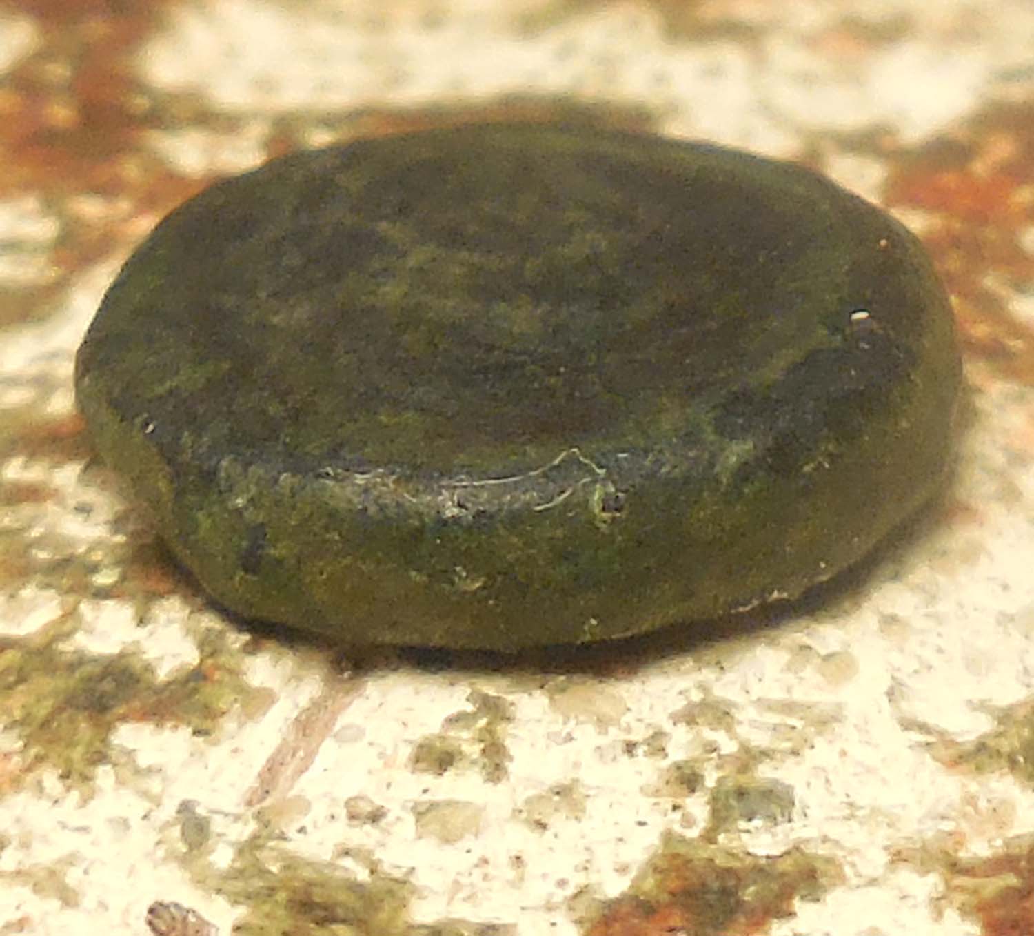Hadrian-Uncia,-9.5mm,-0.95g,-Smallest-