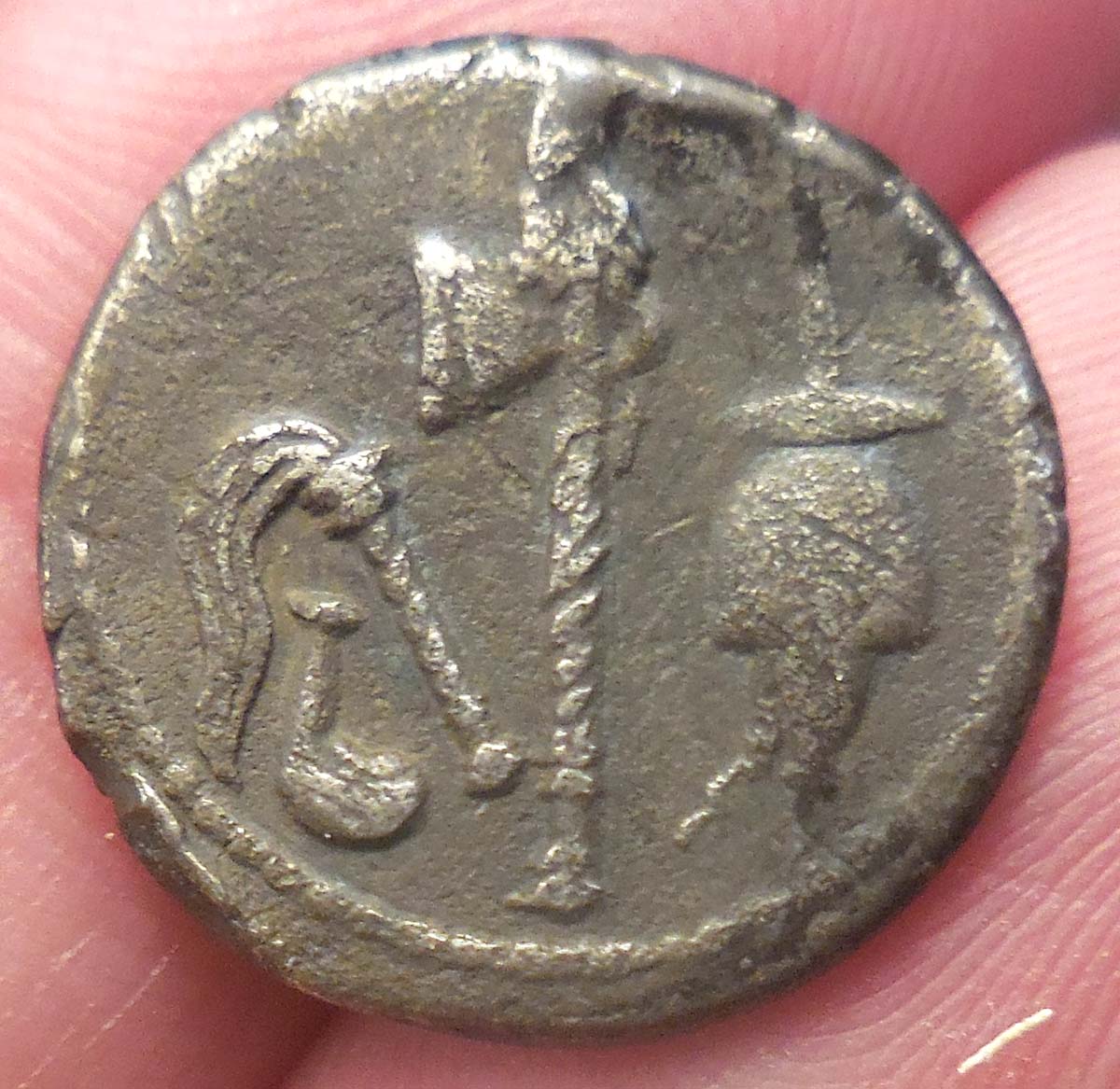 Opinions-On-This-Julius-Caesar-Denarius?
