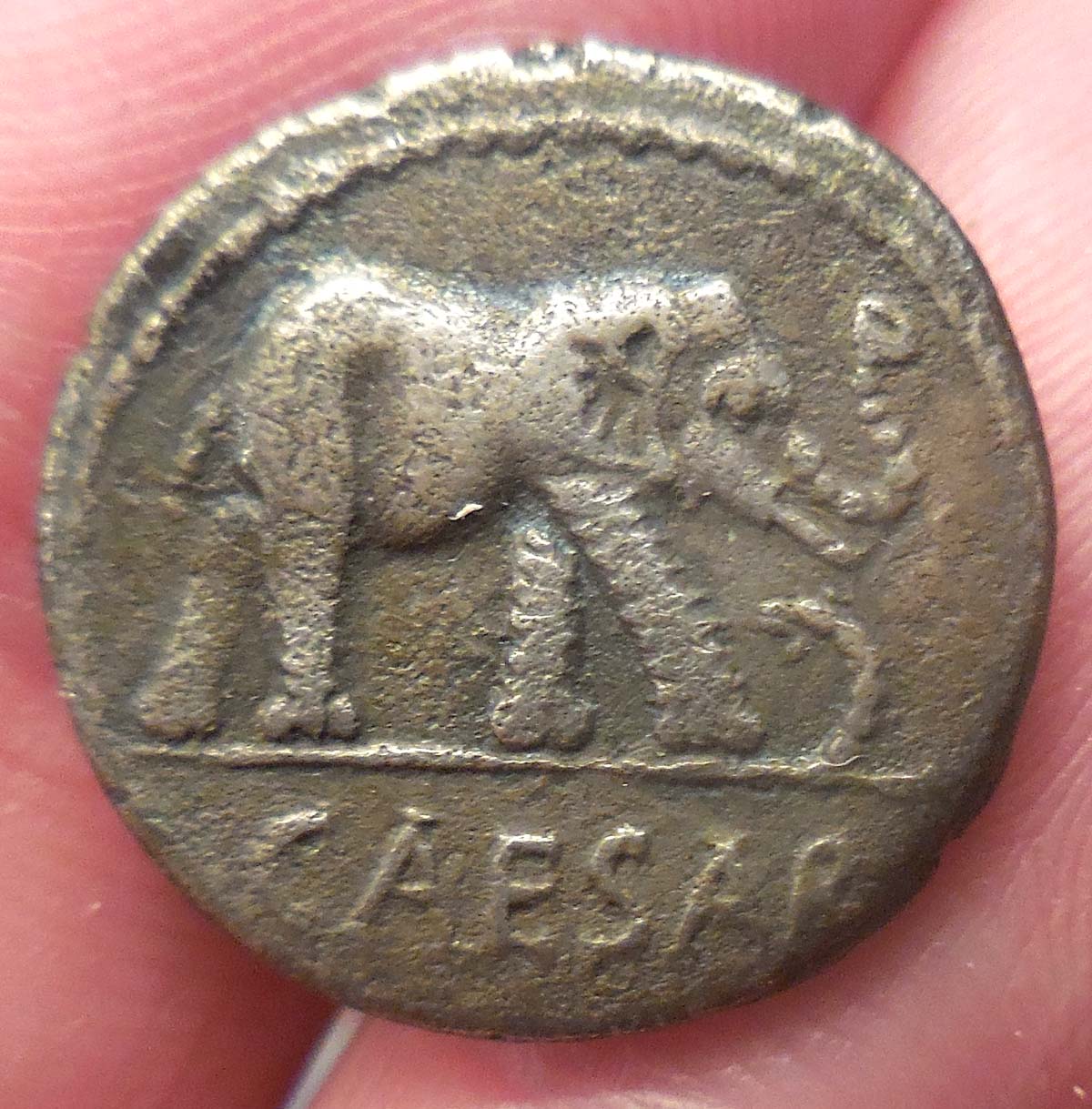 Opinions-On-This-Julius-Caesar-Denarius?