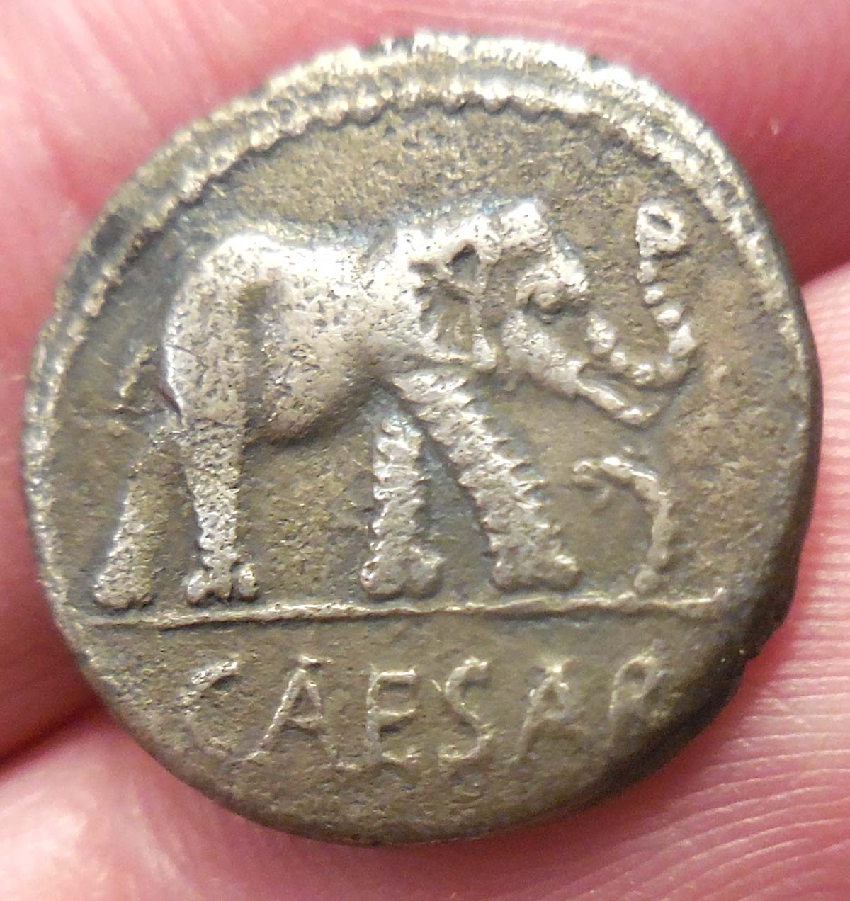 Opinions-On-This-Julius-Caesar-Denarius?