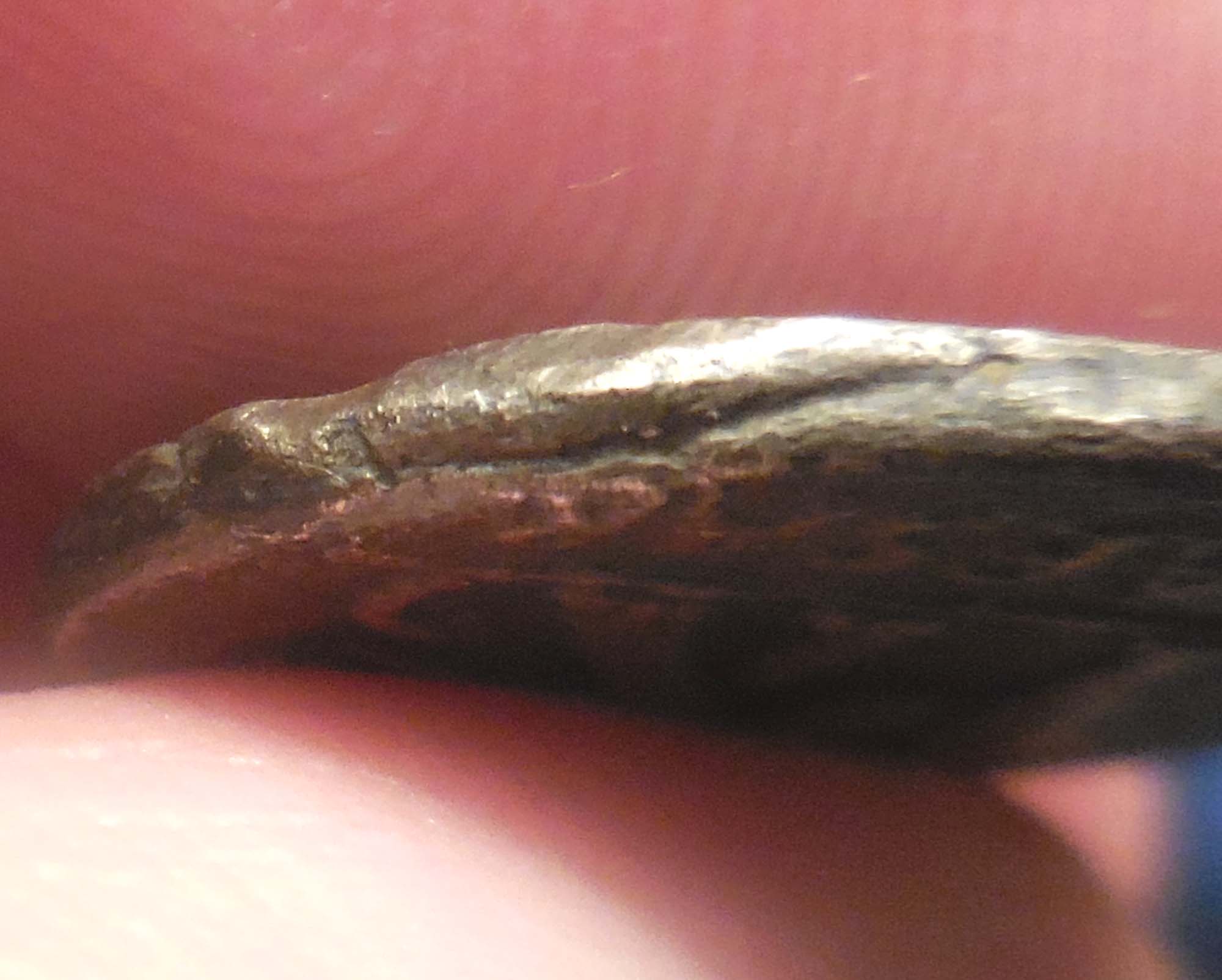 Opinions-On-This-Julius-Caesar-Denarius?