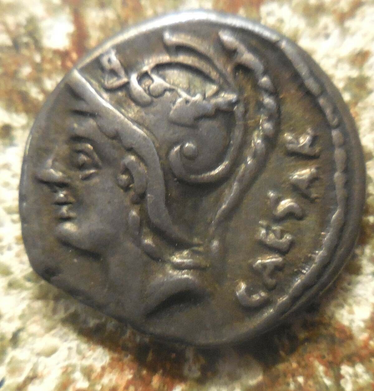 L.-Julius-L.-F.-Caesar-Roman-Republic-AR-Denarius-103-BC