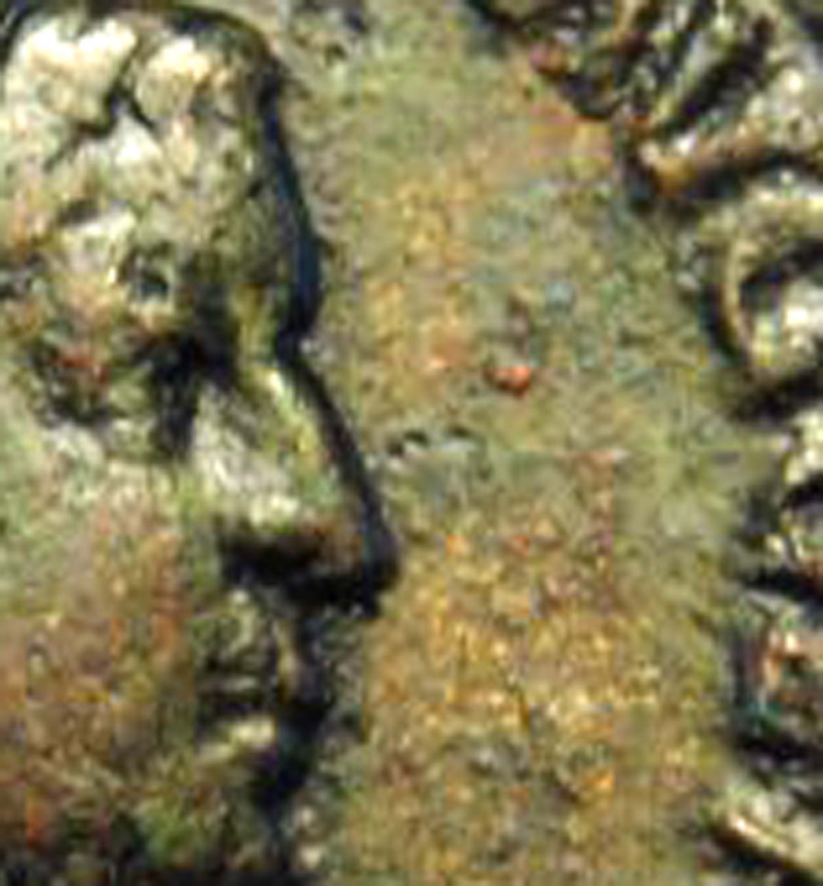 Emperor-Gallienus-Sestertius-Aka-The-