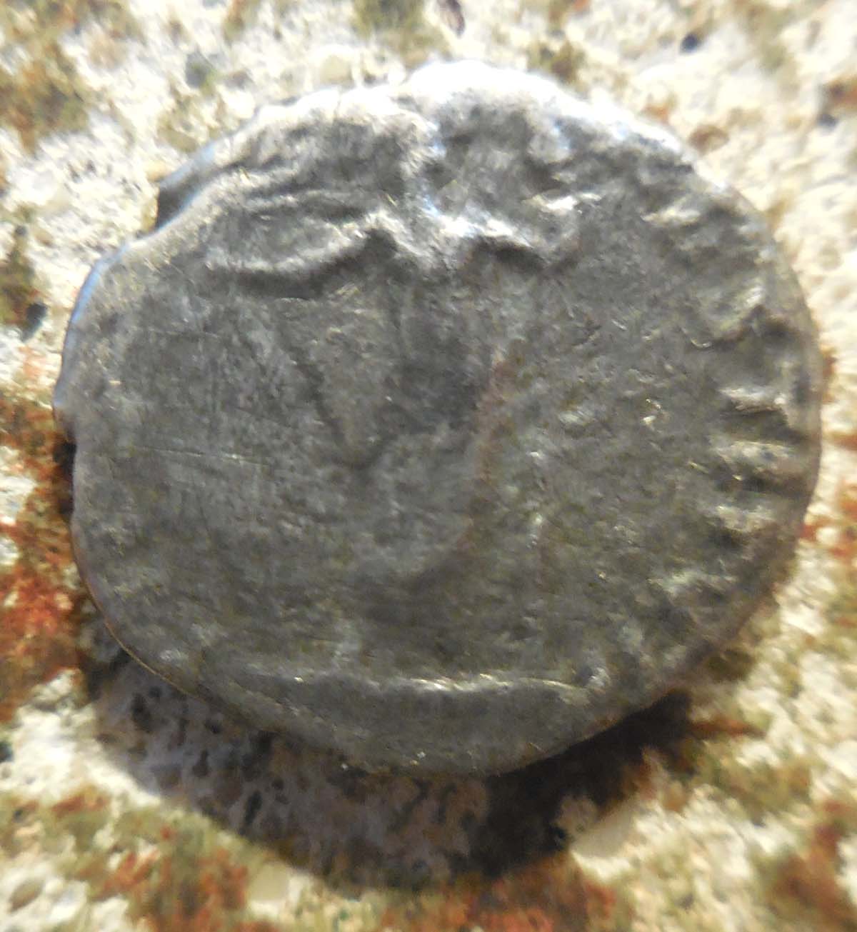 Roman-Denarius-ID-Help