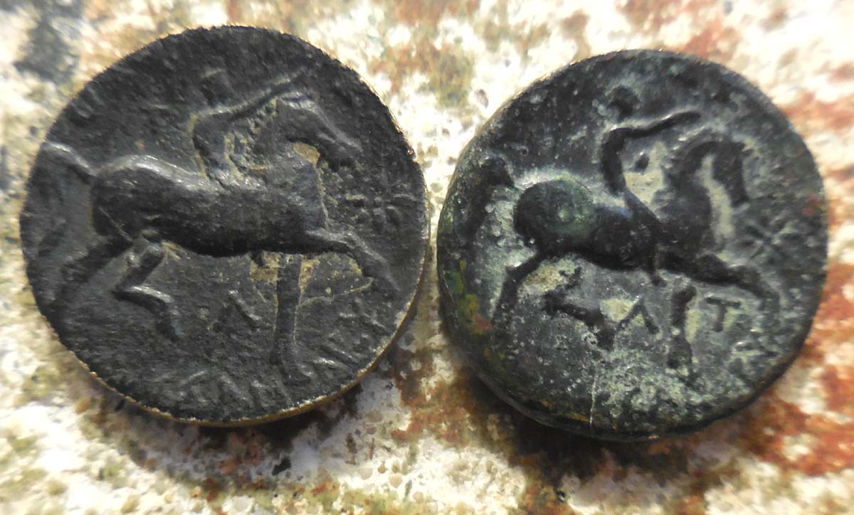 What-Is-The-Purpose-Of-Making-These?-I-Guess-Macedon-Kassander
