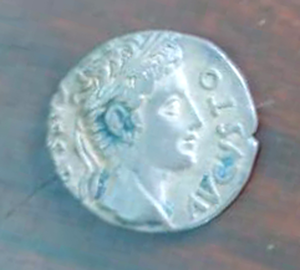 Interested-In-This-But-Having-Trouble-Identifying.
