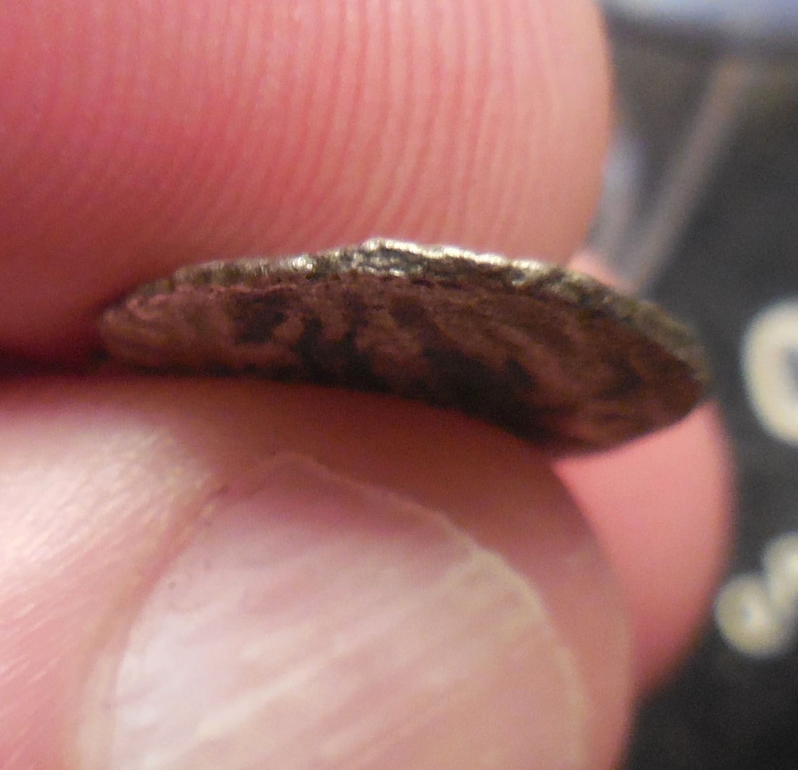 Anyone-Know-What-This-Is?