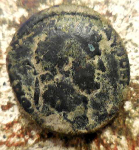 Estate-Tag-Said-Domitian,-Titus-Judaea-Capta-Matched-Better?