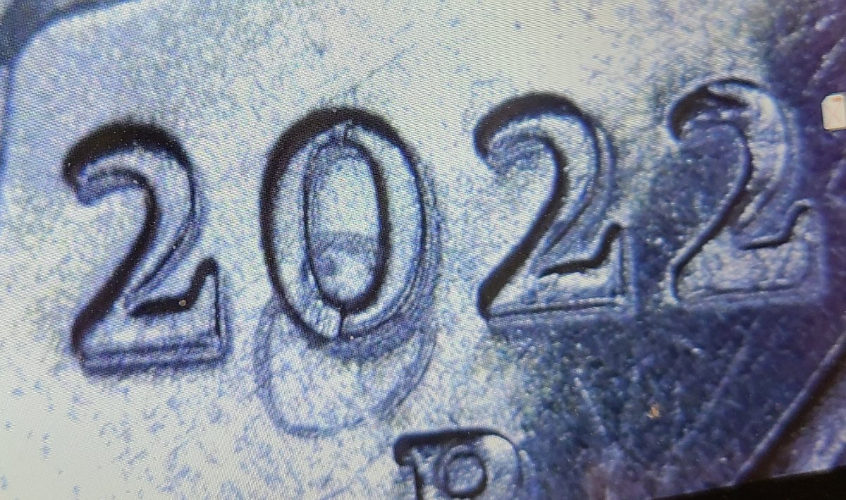 2022-P-Maya-Angelou-Unusual-Error-Found-On-Date