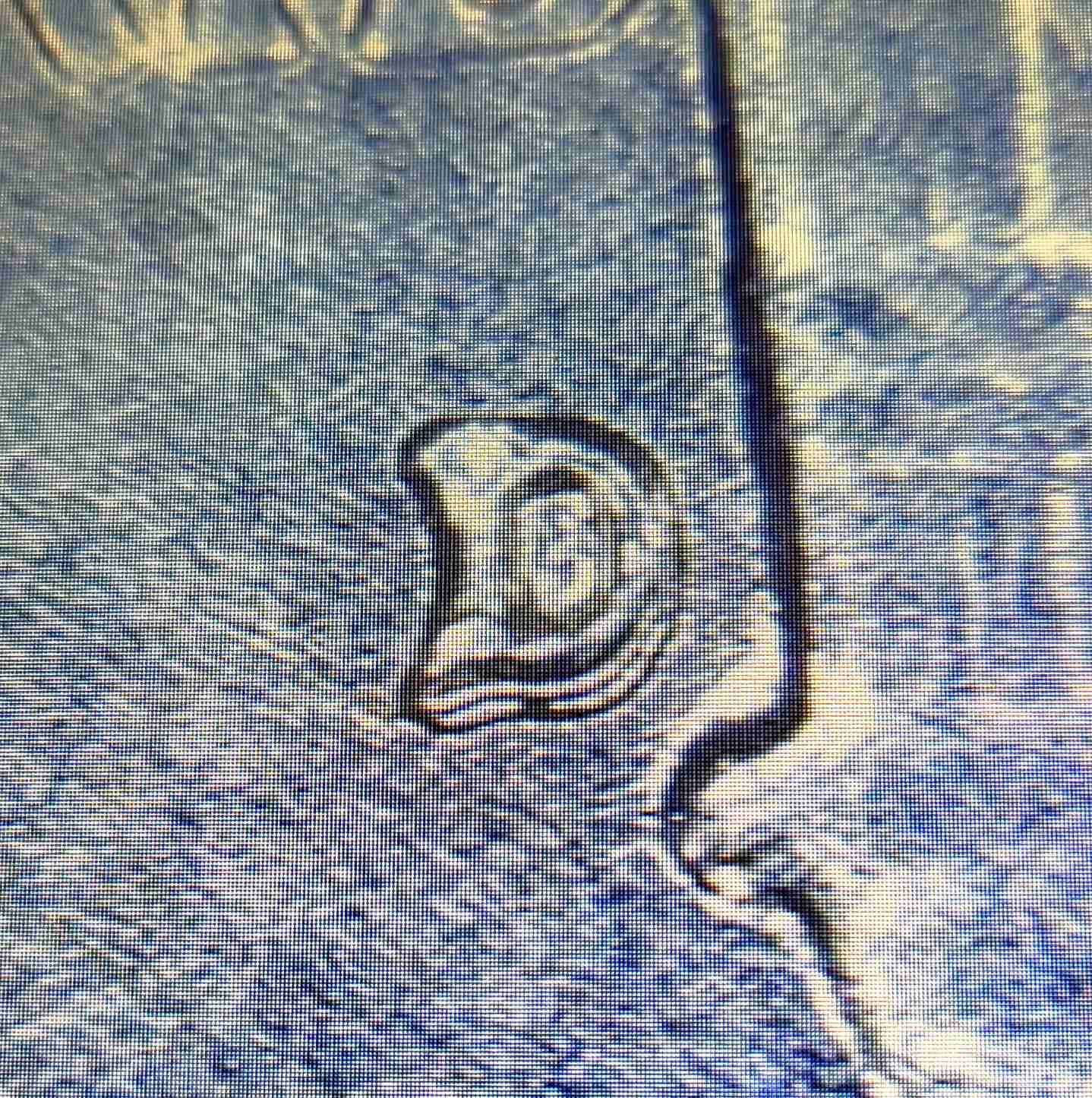 1955-Denver-Roosevelt-Dimes-RPM-Mint-Marks?
