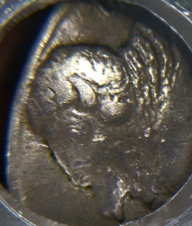 1931-S-Buffalo-Nickel-For-Grade