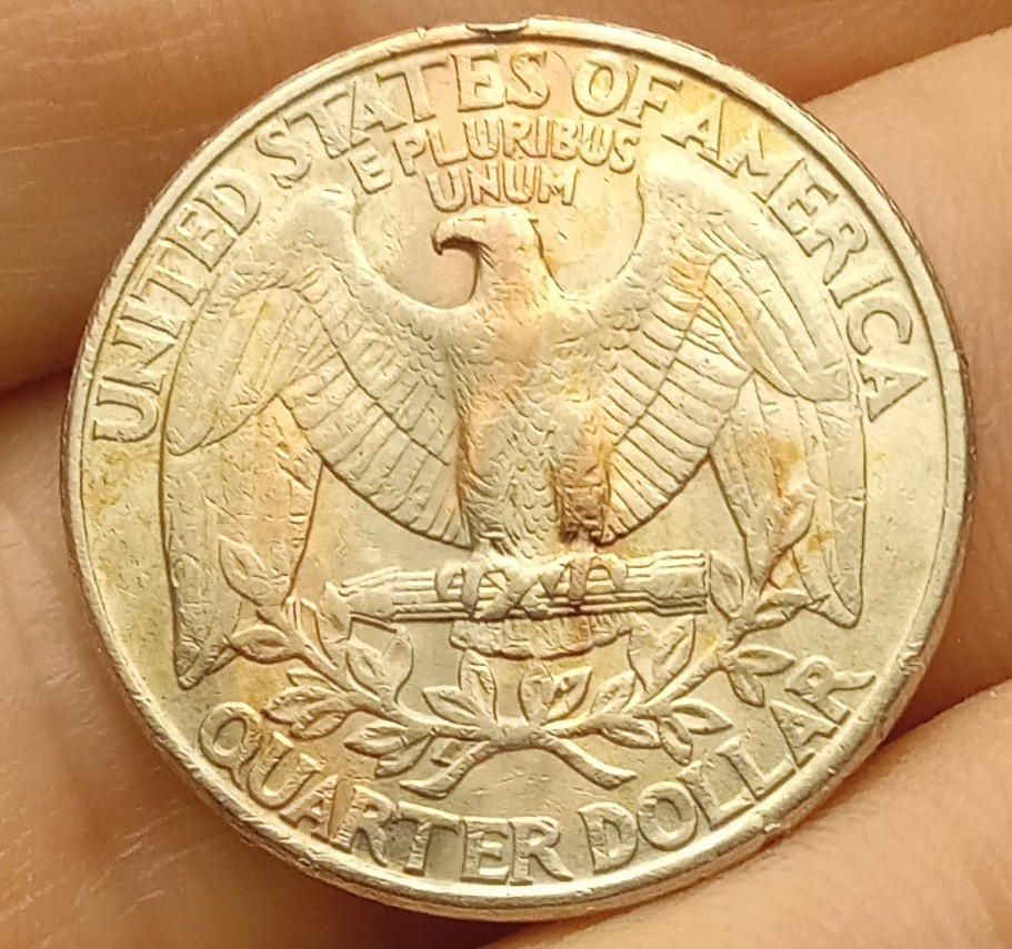 1996-Quarter---Annealed-Issue-Or-Environmental-Damage?