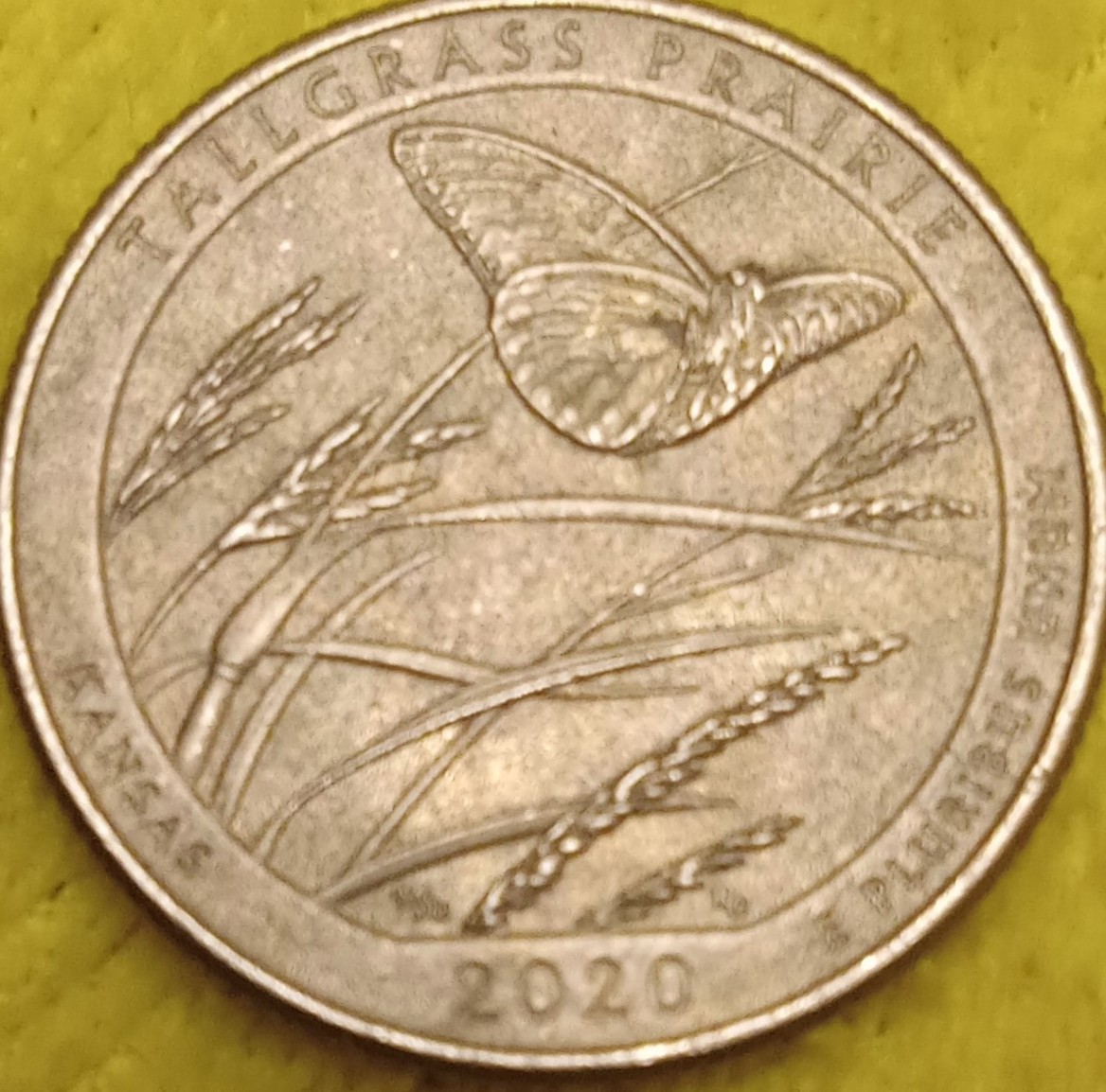 2020-D-Quarter---Discoloration-On-Reverse