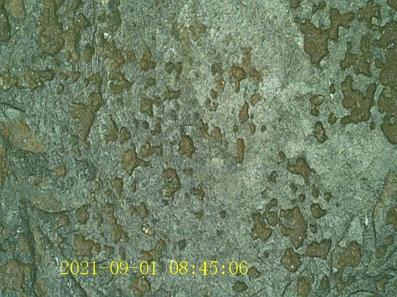 1783-US-500-Unit-Quint-Silver