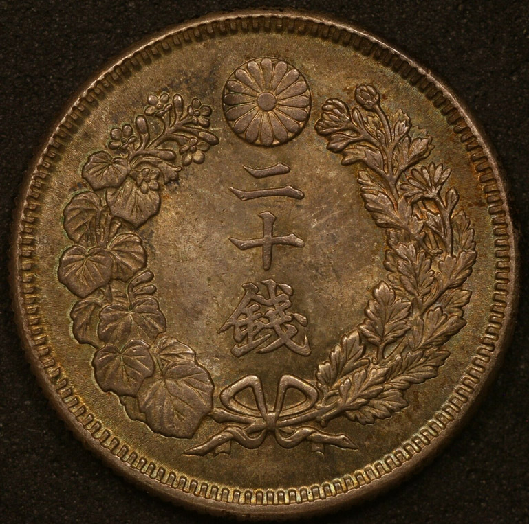 Continuing-List-To-Show-Everyones-Latest-Acquisitions