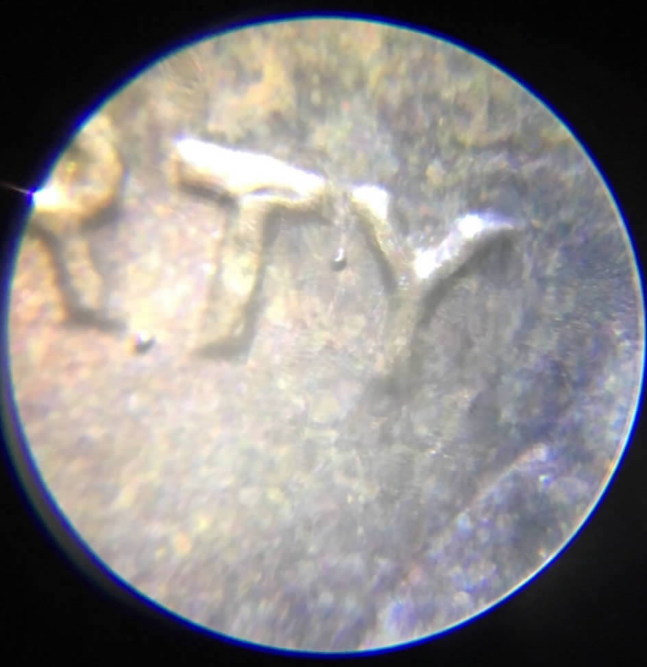 Help-Identify-Errors-1982-LMC-Bronze-Small-Date.