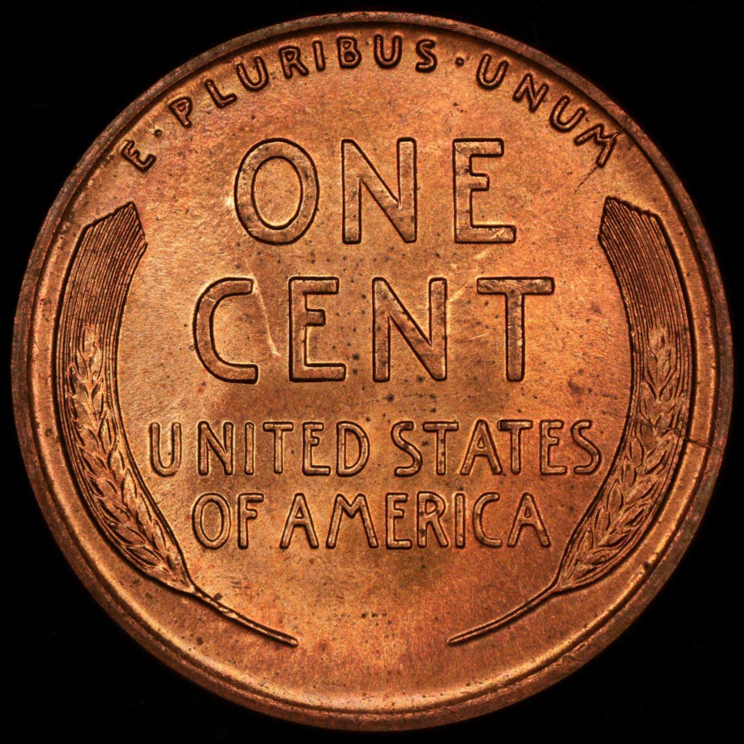 1919-D-Lincoln-Cent---Grading-Since-We're-Waiting...