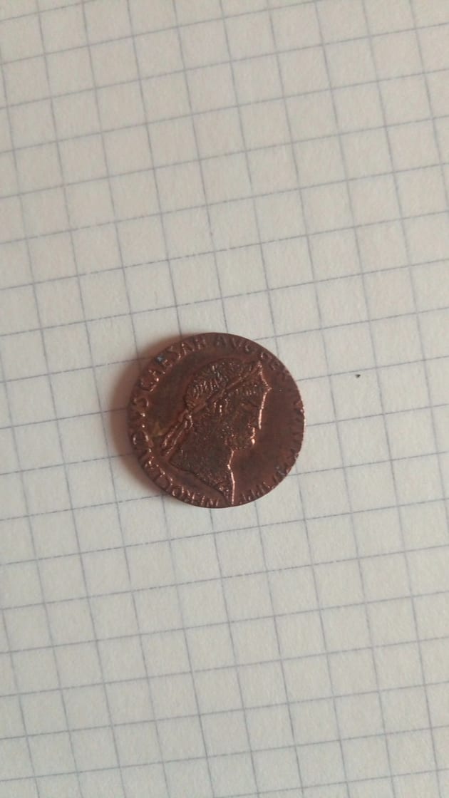 Hello-I'm�from-Lithuania-Found-Cesar-Coin-Wanna-Know-Is-It-Worth-Something-Id:-Likely-Souvenir