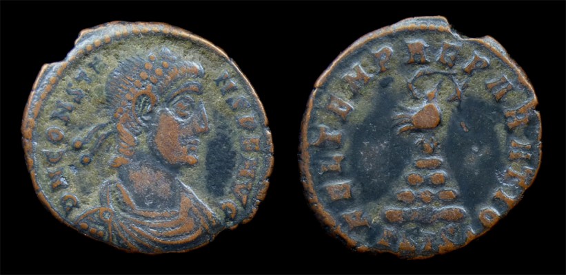 Collection-Upgrade---Constans
