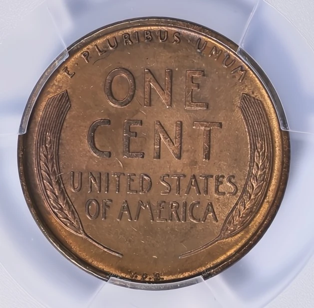 1909-S-VDB-Lincoln-Cent--Questionable-Color-Or-A-Woody