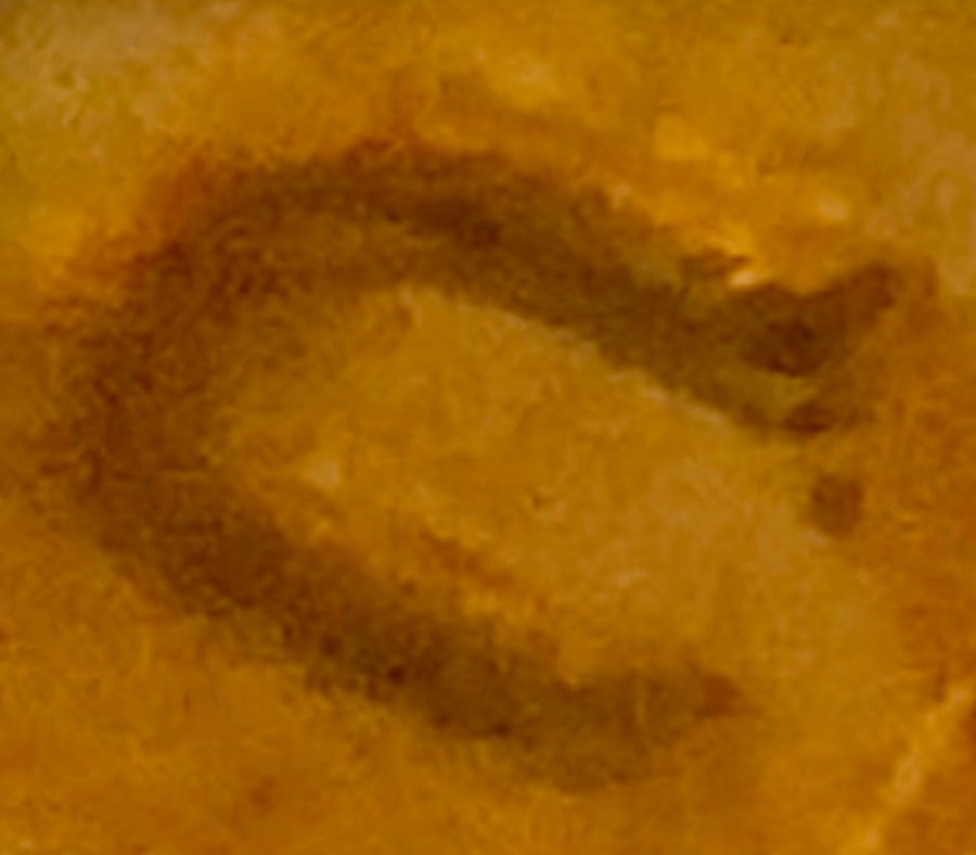 1969-S-Lincoln-Memorial-Cent-Double-Die-Found-In-Missouri