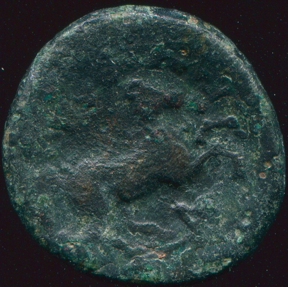 Phillip-II-Macedon-Coin-I-Just-Bought
