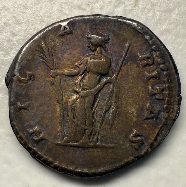 Julia-Domna-Denarius