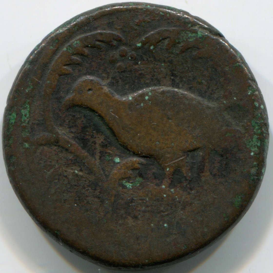My-Latest-Themed-Acquisitions---Birds