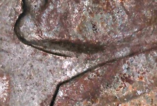 1959-D-Jefferson-Nickel-DDD?