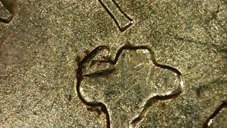 2007-P-25c-Wyoming-With-Listed-DDR?