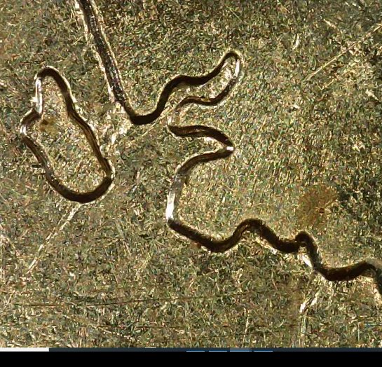 2007-P-25c-Wyoming-With-Listed-DDR?