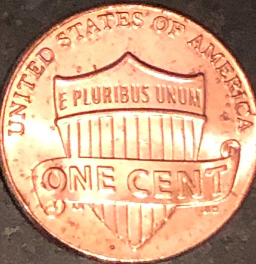 2021-LSC-With-Doubled-Ear.-DDO-Or-Something-Else?