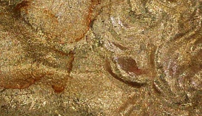 2007-P-25c-Wyoming-With-Doubled-Ear-Possible-New-DDO?