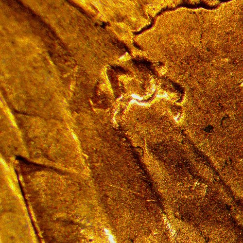 2017-P-LSC/-Possible-New-DDO?