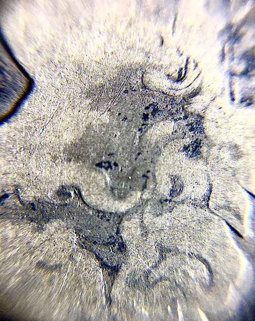 1819-Capped-Bust-Quarter---Grade-Request