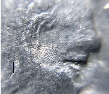 1936-Buffalo-5c-Grade-And-ID-For-Type-Of-OBV-&-REV-Scratches