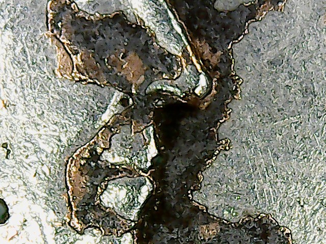 2013-Toonie-One-Colour