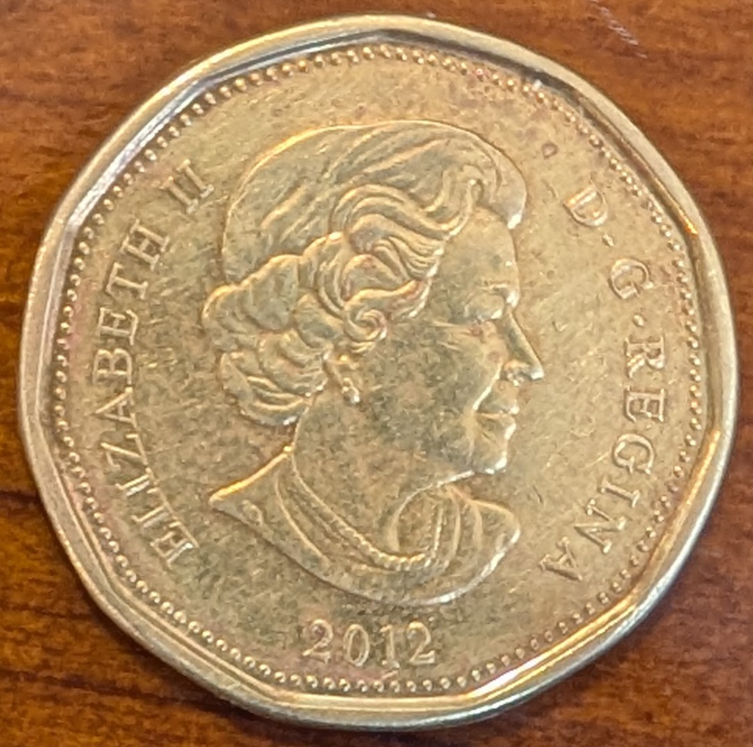 Another-2012-Loonie-DDO