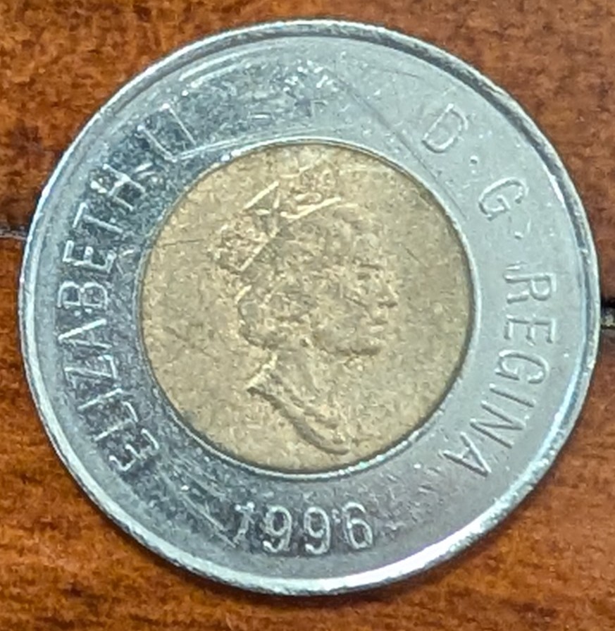 Finally-Found-A-1996-Horn-Toonie