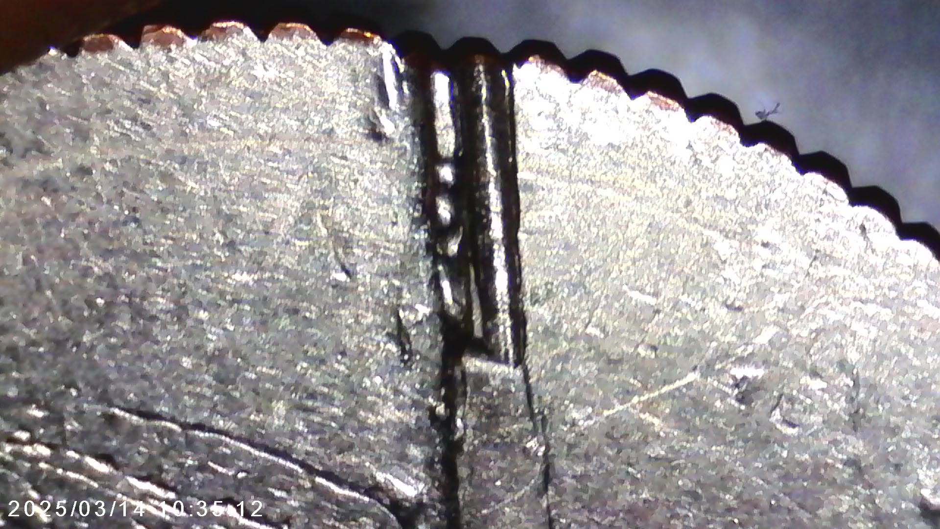 Die-Crack,-Die-Break,-Cud,-Split-Die,-Or-Shattered-Die?-2014-D-Quarter