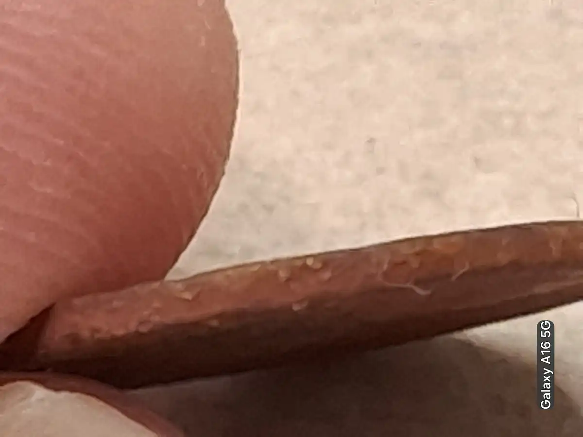 1976-Lincoln-Cent-Error-Wrong-Planchet-And-Metal-Weighs-2.58-Grams
