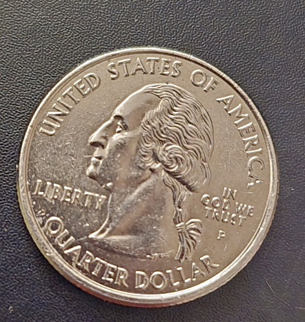 2008-P-Alaska-Quarter-No-Copper-Rim