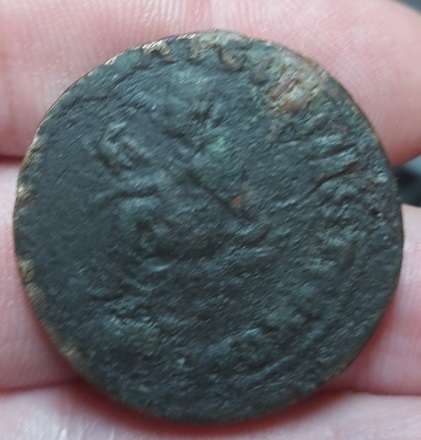 Identification-Help-Please.-Thank-You.