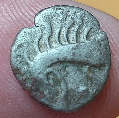 My-Latest-Pick-Up,-Help-With-ID-Etc.-Please.